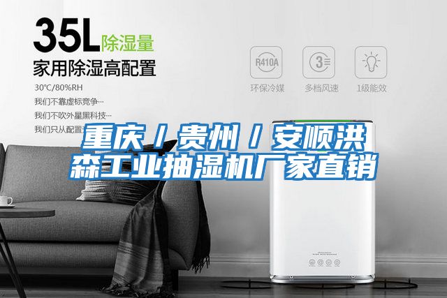 重庆／贵州／安顺洪森工业抽湿机厂家直销