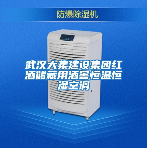 武汉大集建设集团红酒储藏用酒窖恒温恒湿空调