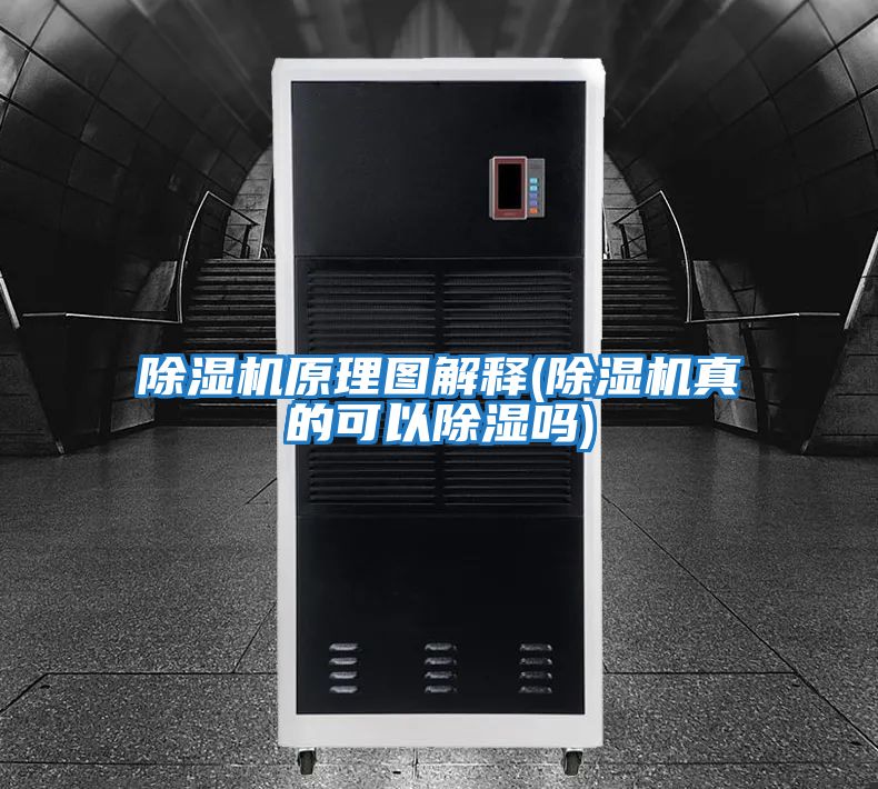 除湿机原理图解释(除湿机真的可以除湿吗)