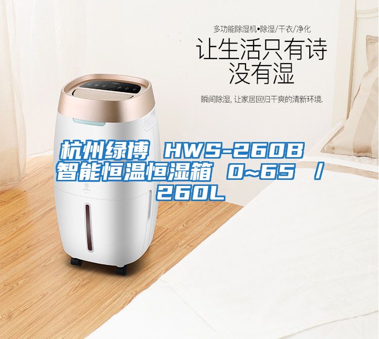杭州绿博 HWS-260B 智能恒温恒湿箱 0~65℃／260L