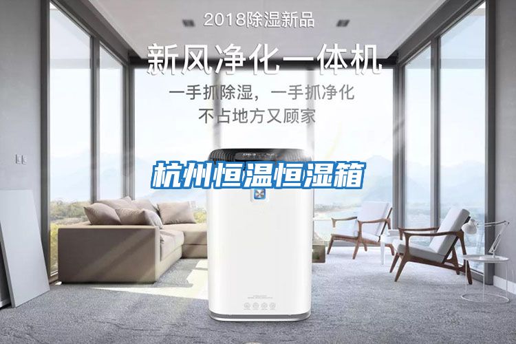杭州恒温恒湿箱