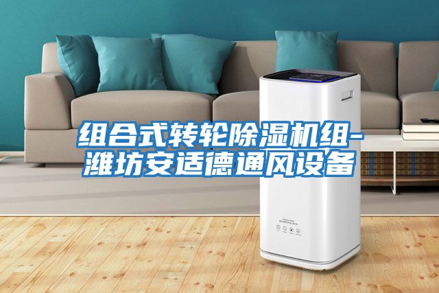组合式转轮除湿机组-潍坊安适德通风设备