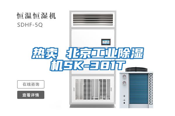 热卖 北京工业除湿机SK-381T