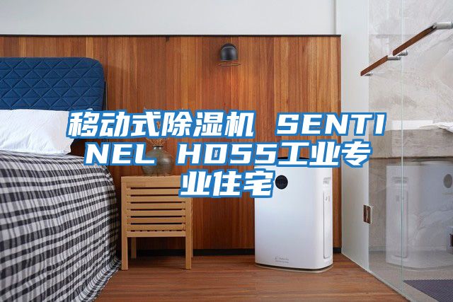 移动式除湿机 SENTINEL HD55工业专业住宅