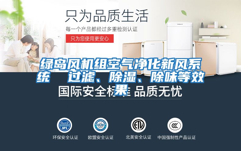 绿岛风机组空气净化新风系统  过滤、除湿、除味等效果