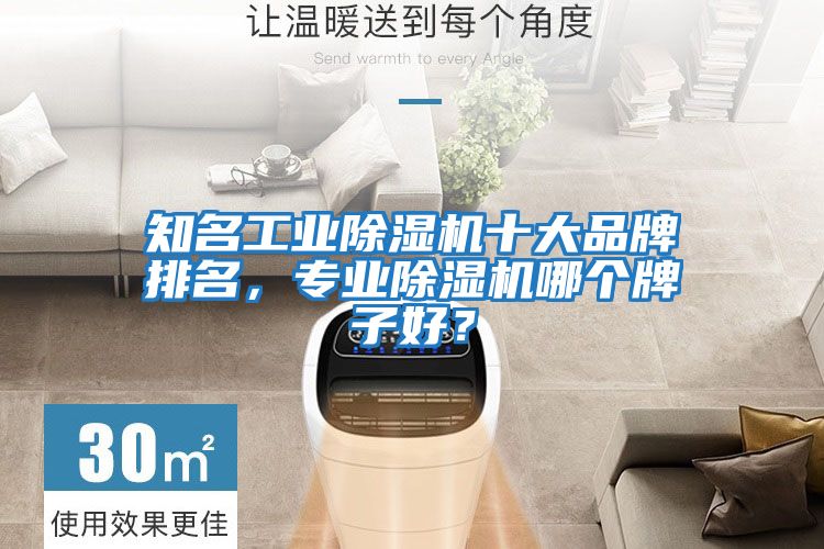 知名工业除湿机十大品牌排名，专业除湿机哪个牌子好？