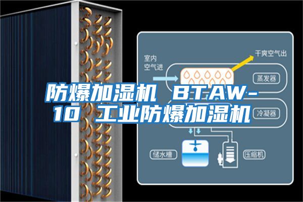 防爆加湿机 BTAW-10 工业防爆加湿机