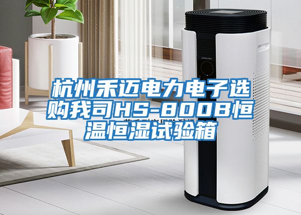 杭州禾迈电力电子选购我司HS-800B恒温恒湿试验箱