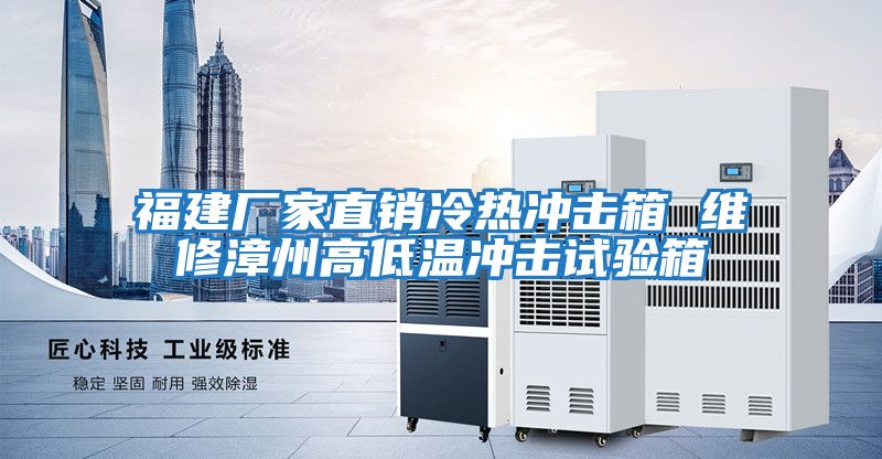 福建厂家直销冷热冲击箱 维修漳州高低温冲击试验箱