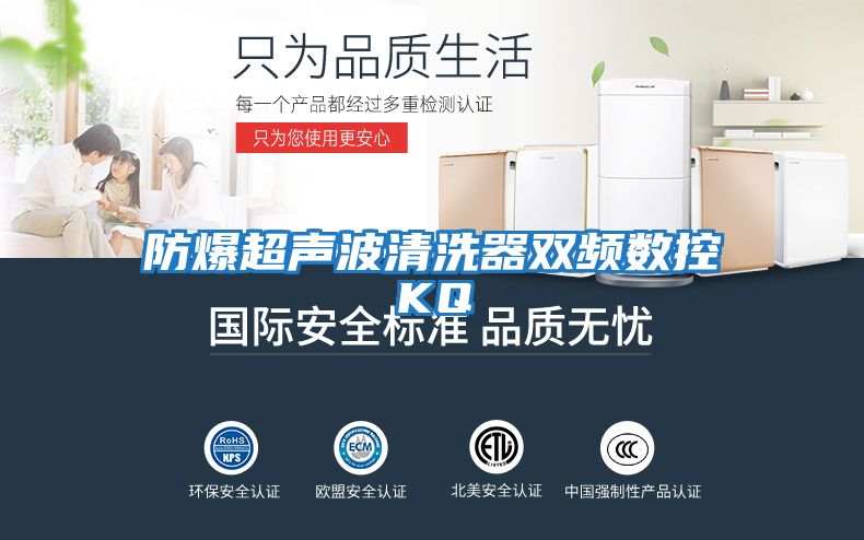 防爆超声波清洗器双频数控KQ