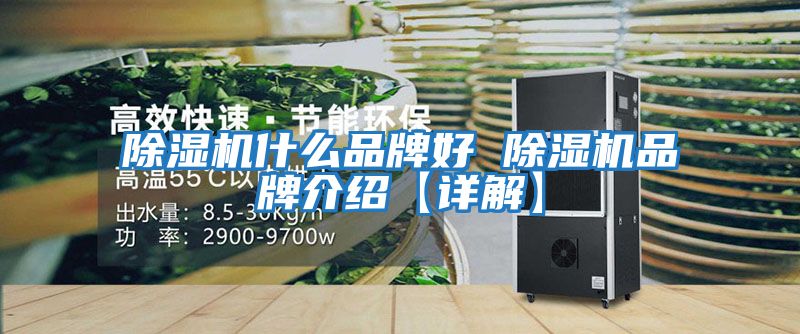 除湿机什么品牌好 除湿机品牌介绍【详解】