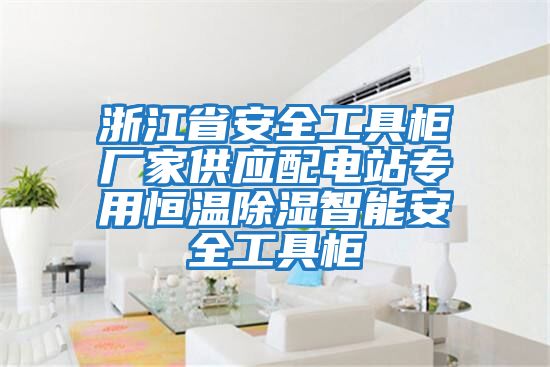 浙江省安全工具柜厂家供应配电站专用恒温除湿智能安全工具柜