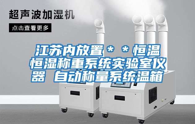 江苏内放置＊＊恒温恒湿称重系统实验室仪器 自动称量系统温箱
