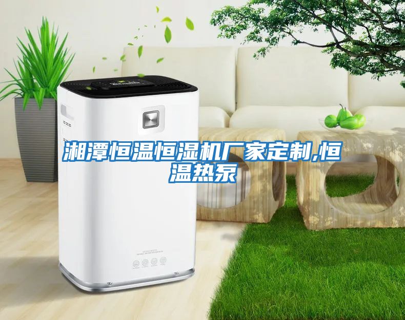 湘潭恒温恒湿机厂家定制,恒温热泵