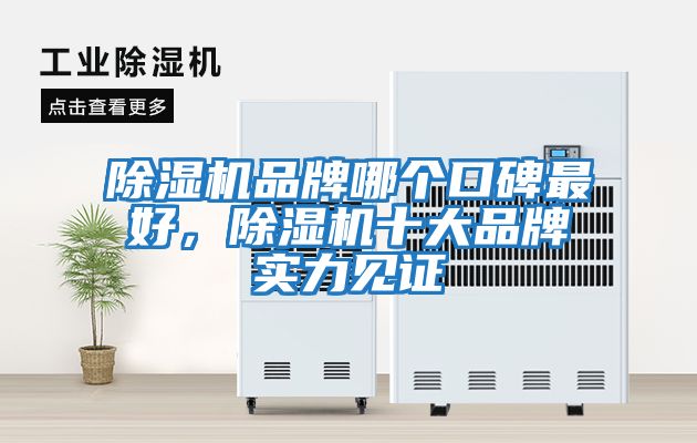 除湿机品牌哪个口碑最好，除湿机十大品牌实力见证