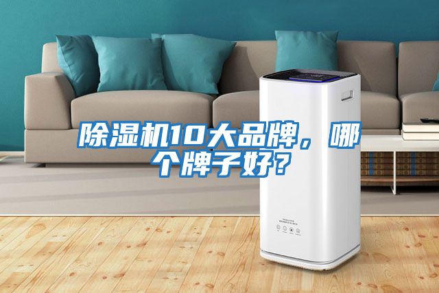 除湿机10大品牌，哪个牌子好？