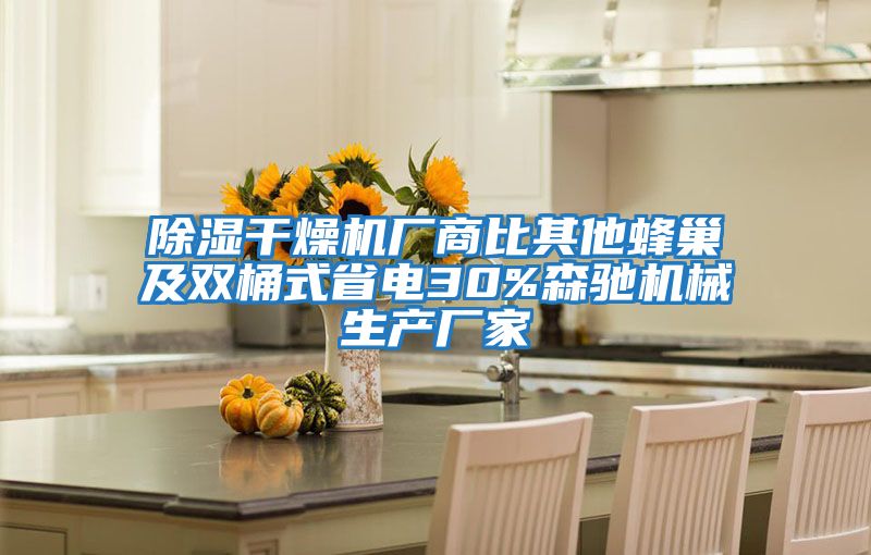 除湿干燥机厂商比其他蜂巢及双桶式省电30%森驰机械生产厂家