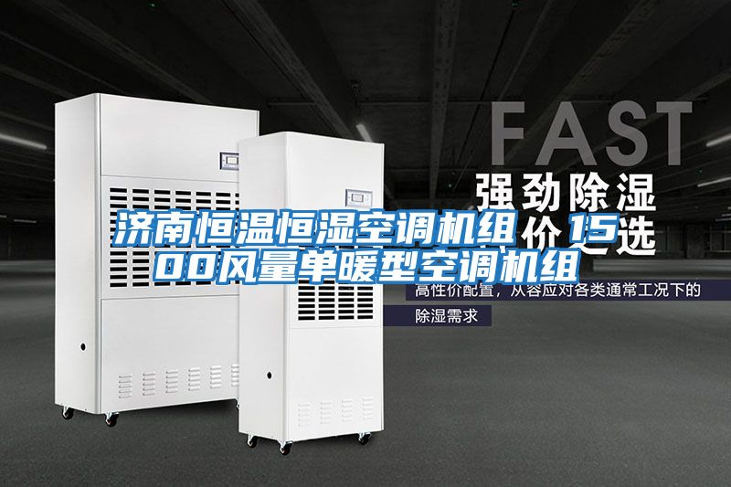 济南恒温恒湿空调机组  1500风量单暖型空调机组