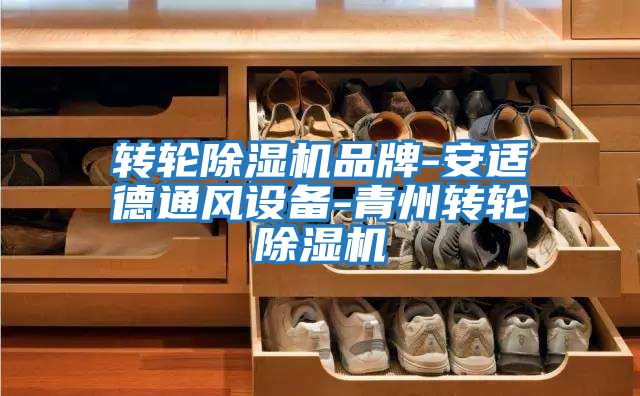 转轮除湿机品牌-安适德通风设备-青州转轮除湿机