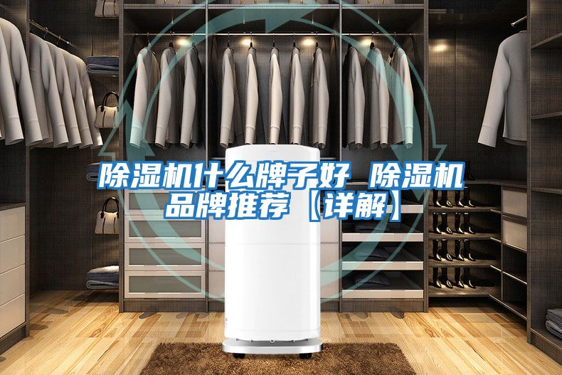 除湿机什么牌子好 除湿机品牌推荐【详解】