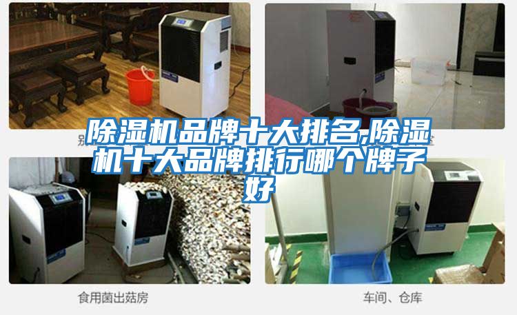 除湿机品牌十大排名,除湿机十大品牌排行哪个牌子好