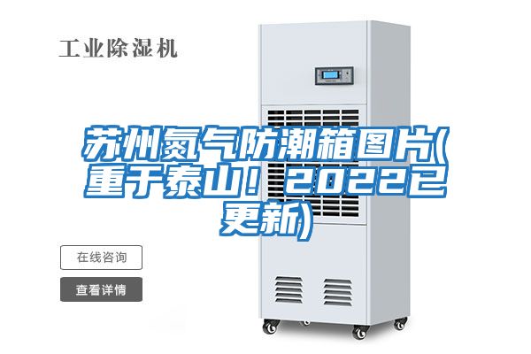 苏州氮气防潮箱图片(重于泰山！2022已更新)
