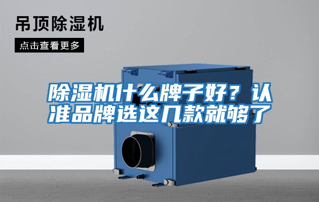 除湿机什么牌子好？认准品牌选这几款就够了
