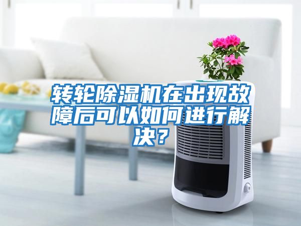 转轮除湿机在出现故障后可以如何进行解决？