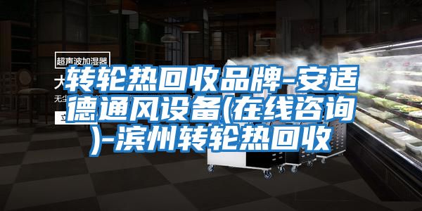 转轮热回收品牌-安适德通风设备(在线咨询)-滨州转轮热回收