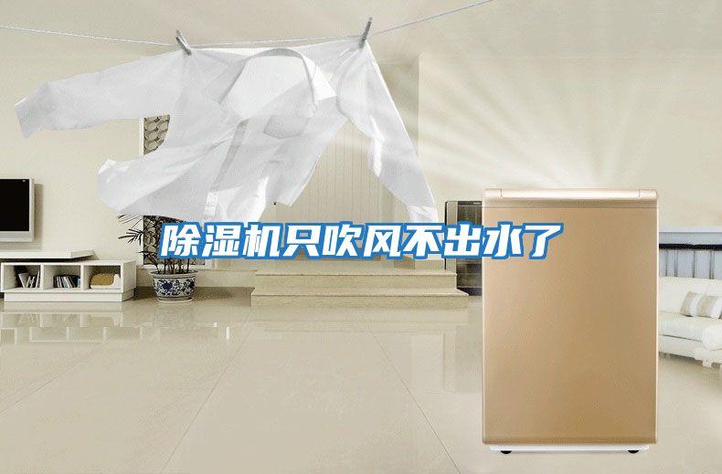 除湿机只吹风不出水了