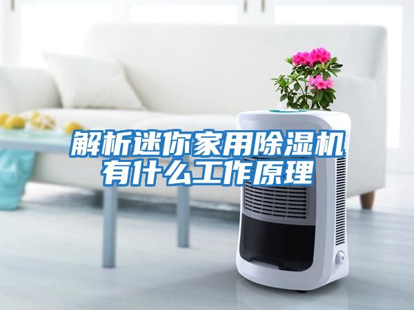 解析迷你家用除湿机有什么工作原理