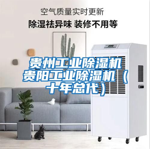 贵州工业除湿机贵阳工业除湿机（十年总代）