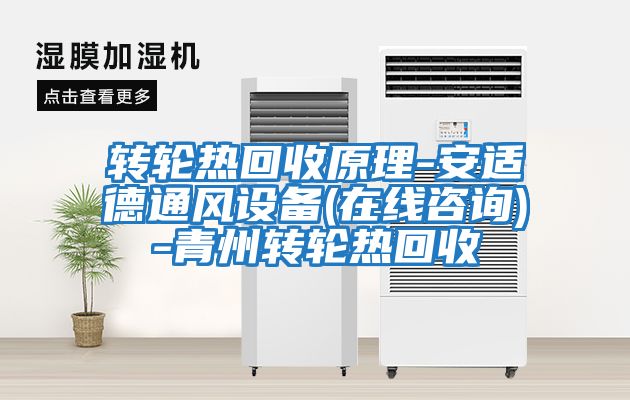 转轮热回收原理-安适德通风设备(在线咨询)-青州转轮热回收