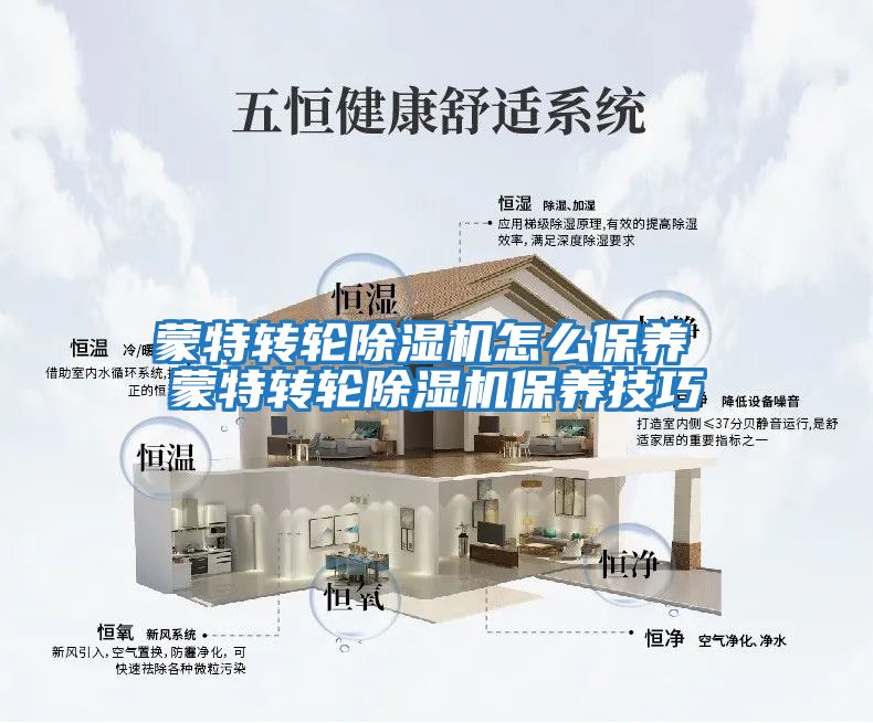 蒙特转轮除湿机怎么保养 蒙特转轮除湿机保养技巧
