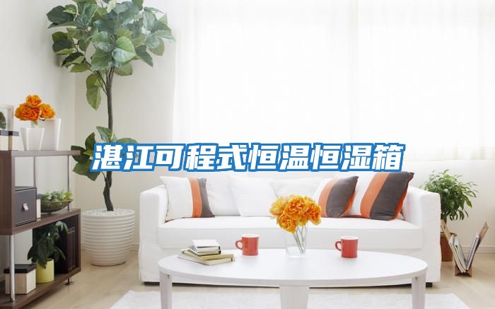湛江可程式恒温恒湿箱
