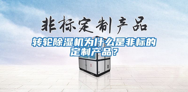 转轮除湿机为什么是非标的定制产品？