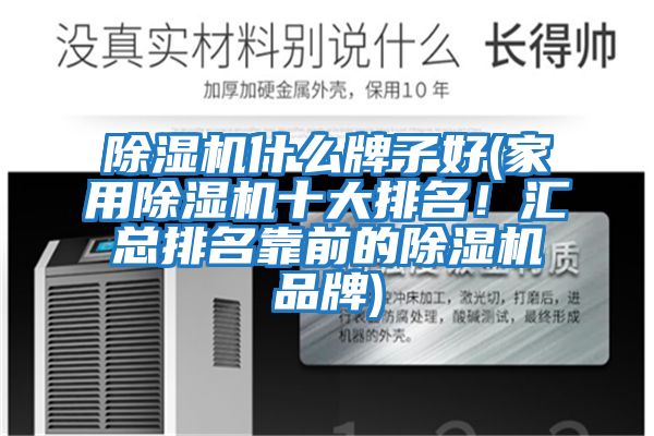 除湿机什么牌子好(家用除湿机十大排名！汇总排名靠前的除湿机品牌)