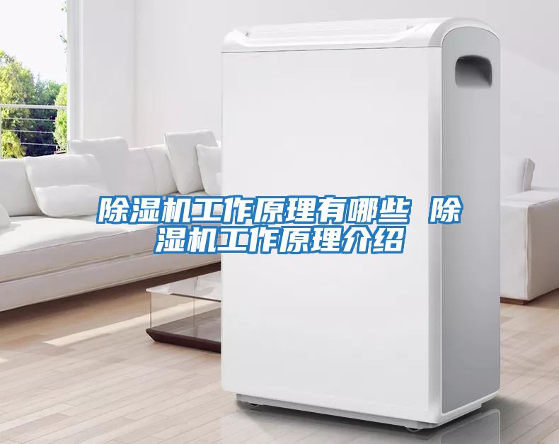除湿机工作原理有哪些 除湿机工作原理介绍