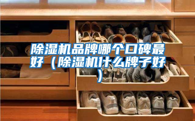 除湿机品牌哪个口碑最好（除湿机什么牌子好）