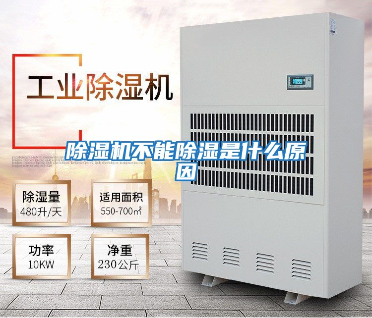 除湿机不能除湿是什么原因