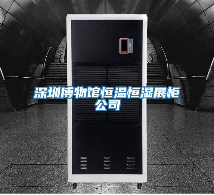 深圳博物馆恒温恒湿展柜公司
