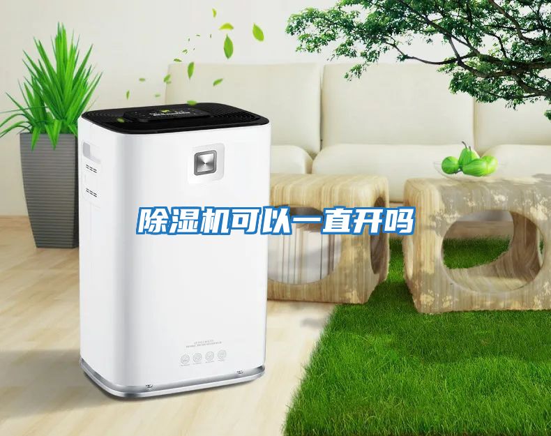 除湿机可以一直开吗