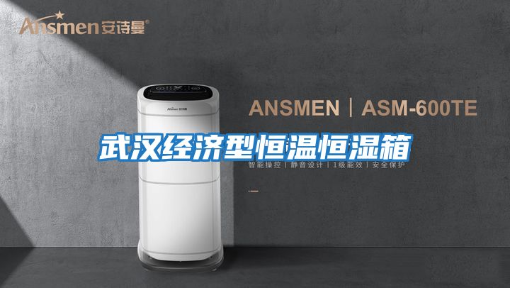 武汉经济型恒温恒湿箱