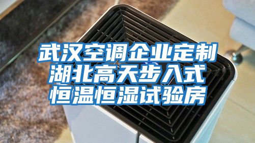 武汉空调企业定制湖北高天步入式恒温恒湿试验房