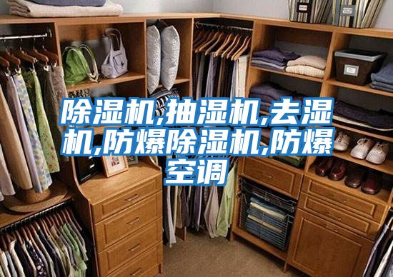 除湿机,抽湿机,去湿机,防爆除湿机,防爆空调