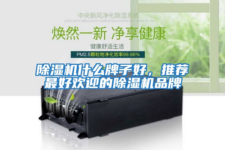 除湿机什么牌子好，推荐最好欢迎的除湿机品牌