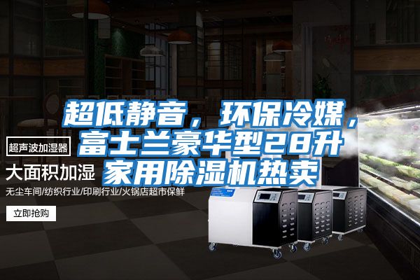 超低静音，环保冷媒，富士兰豪华型28升家用除湿机热卖