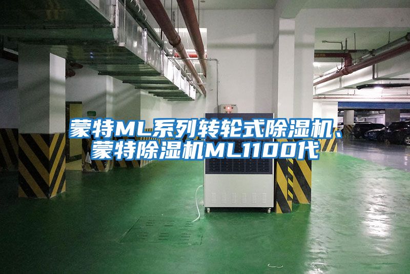 蒙特ML系列转轮式除湿机、蒙特除湿机ML1100代