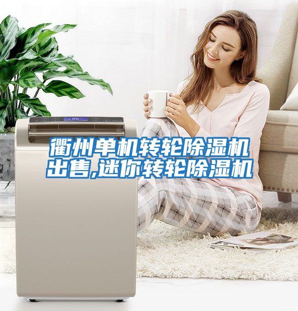 衢州单机转轮除湿机出售,迷你转轮除湿机