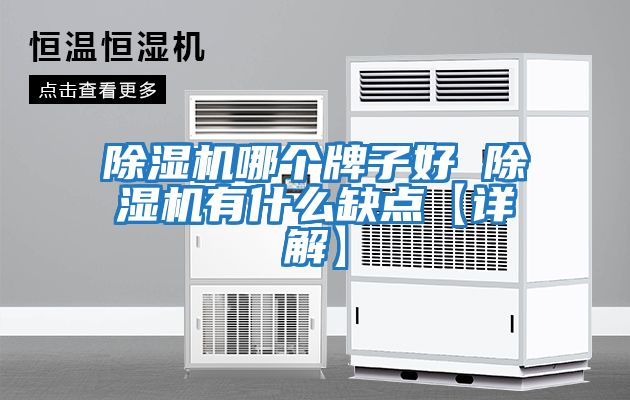 除湿机哪个牌子好 除湿机有什么缺点【详解】